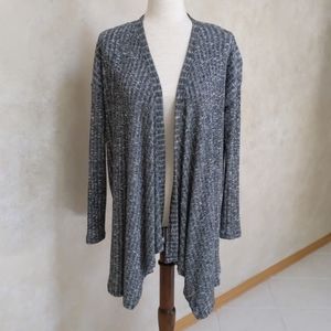 American Eagle Cardigan